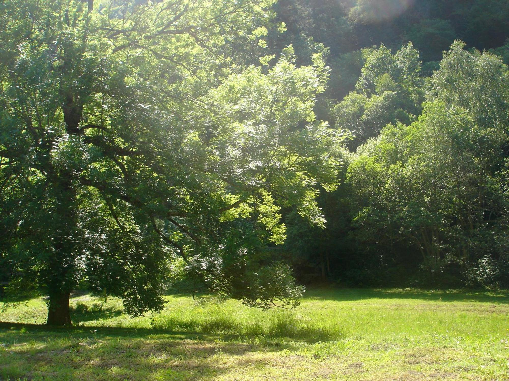 Le Clos De La Bergerie By Camilodge Aragnouet Extérieur photo